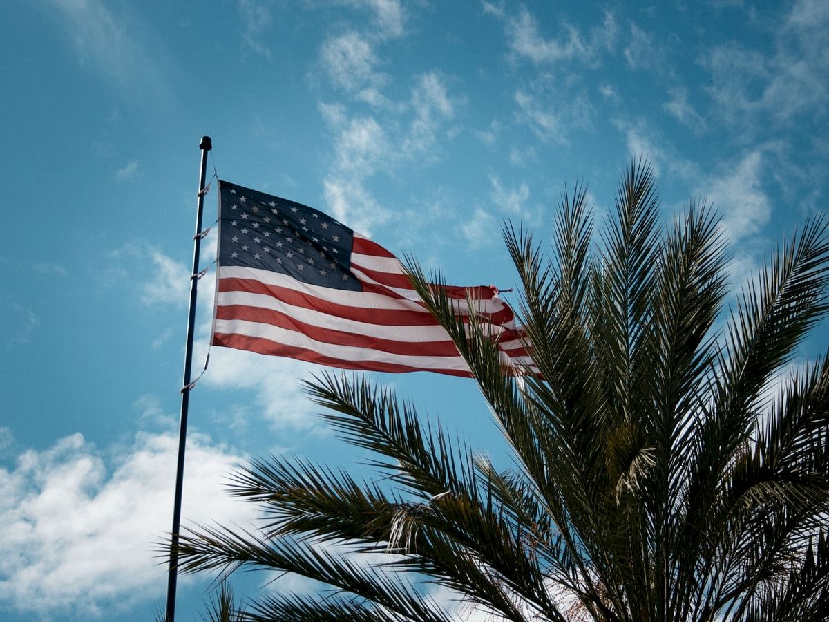 An American flag waves on a pole against a blue sky with clouds, alongside palm tree fronds in the foreground.