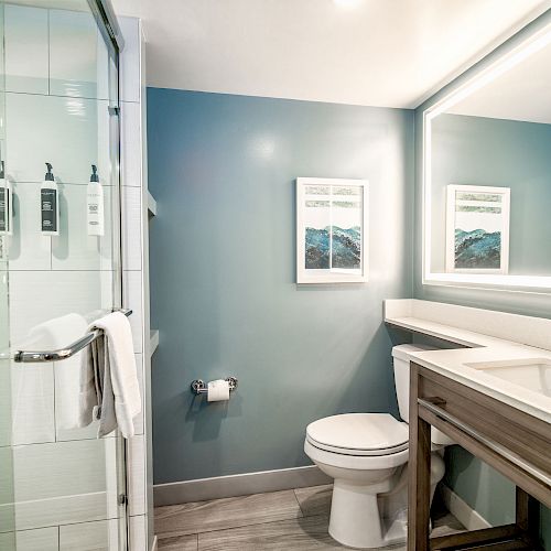 The image shows a modern bathroom with a glass shower, toilet, large mirror, blue walls, vanity with sink, and framed pictures on the walls.